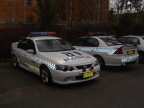 Albury 202 by Damo