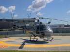 POLAIR 3 by Judd