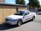 VY Ute by Andrew