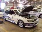 VZ SS by Andrew