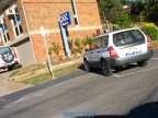 Subaru Forester and Nissan Patrol by Richard Hill