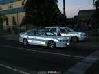 Compare with 3rd photo to see what a difference flash can make to a photo