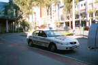 UQ205 by Bruce