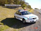 Holden Commodore